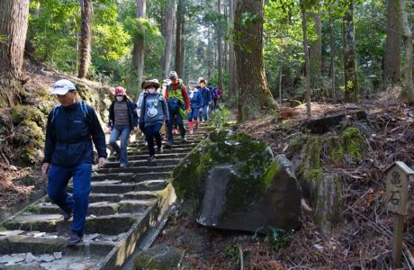 第23回【花はきりしま菜の花コース　約11㌔　参加人数1,430名】