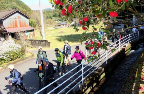 第23回【犬飼・中津川コース　約23.5㌔　参加人数460名】
