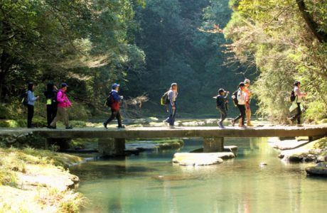 第23回【犬飼・中津川コース　約23.5㌔　参加人数460名】