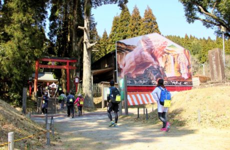 第23回【犬飼・中津川コース　約23.5㌔　参加人数460名】