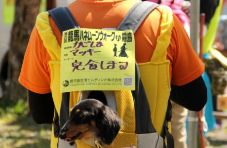 第23回【犬飼・中津川コース　約23.5㌔　参加人数460名】