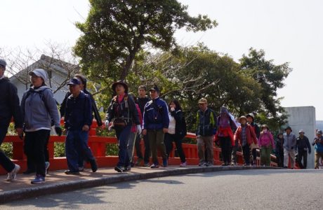 第23回【花はきりしま菜の花コース　約11㌔　参加人数1,430名】